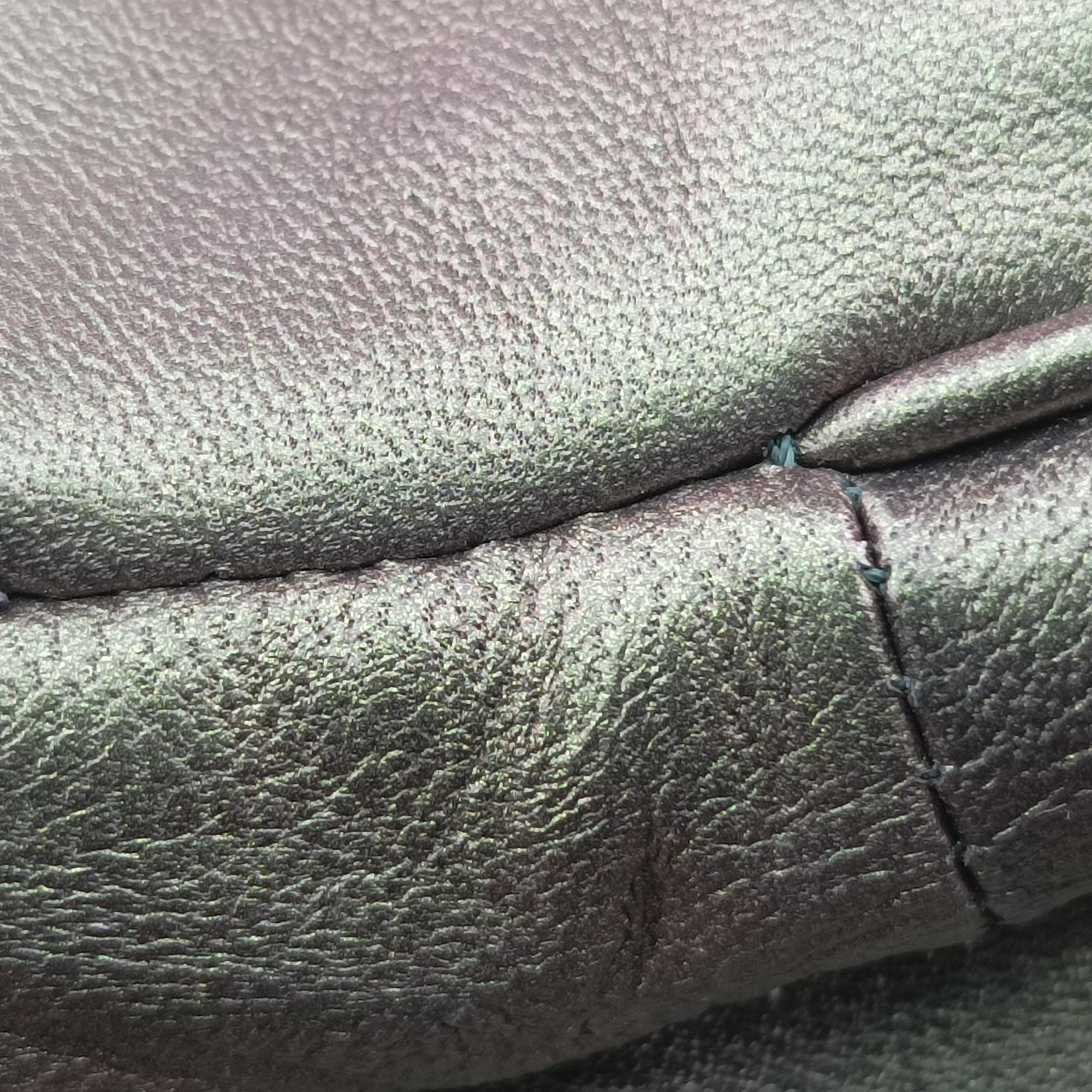 Secondhand Bottega Veneta Iridescent Scarabee Iridescent Multi Pocket Tote  Iridescent Green Leather  shoulderbag | stylenewstar