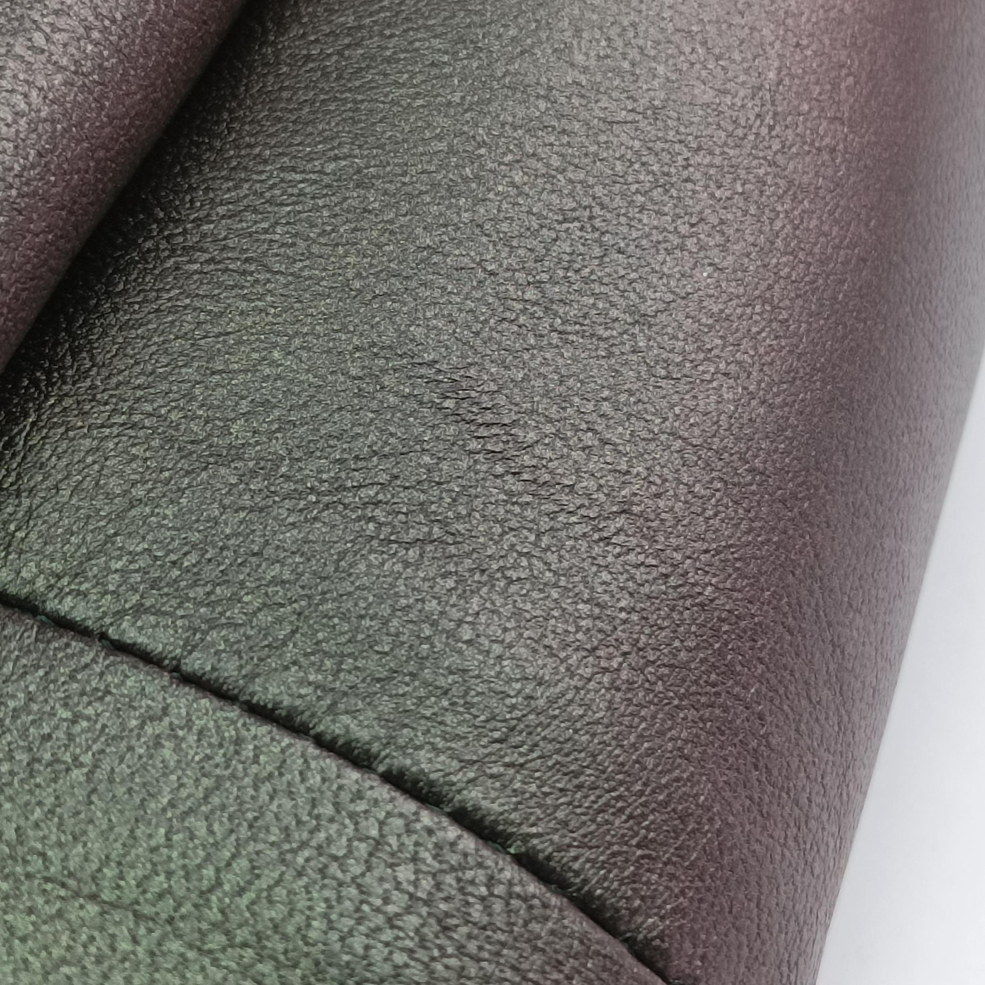 Secondhand Bottega Veneta Iridescent Scarabee Iridescent Multi Pocket Tote  Iridescent Green Leather  shoulderbag | stylenewstar