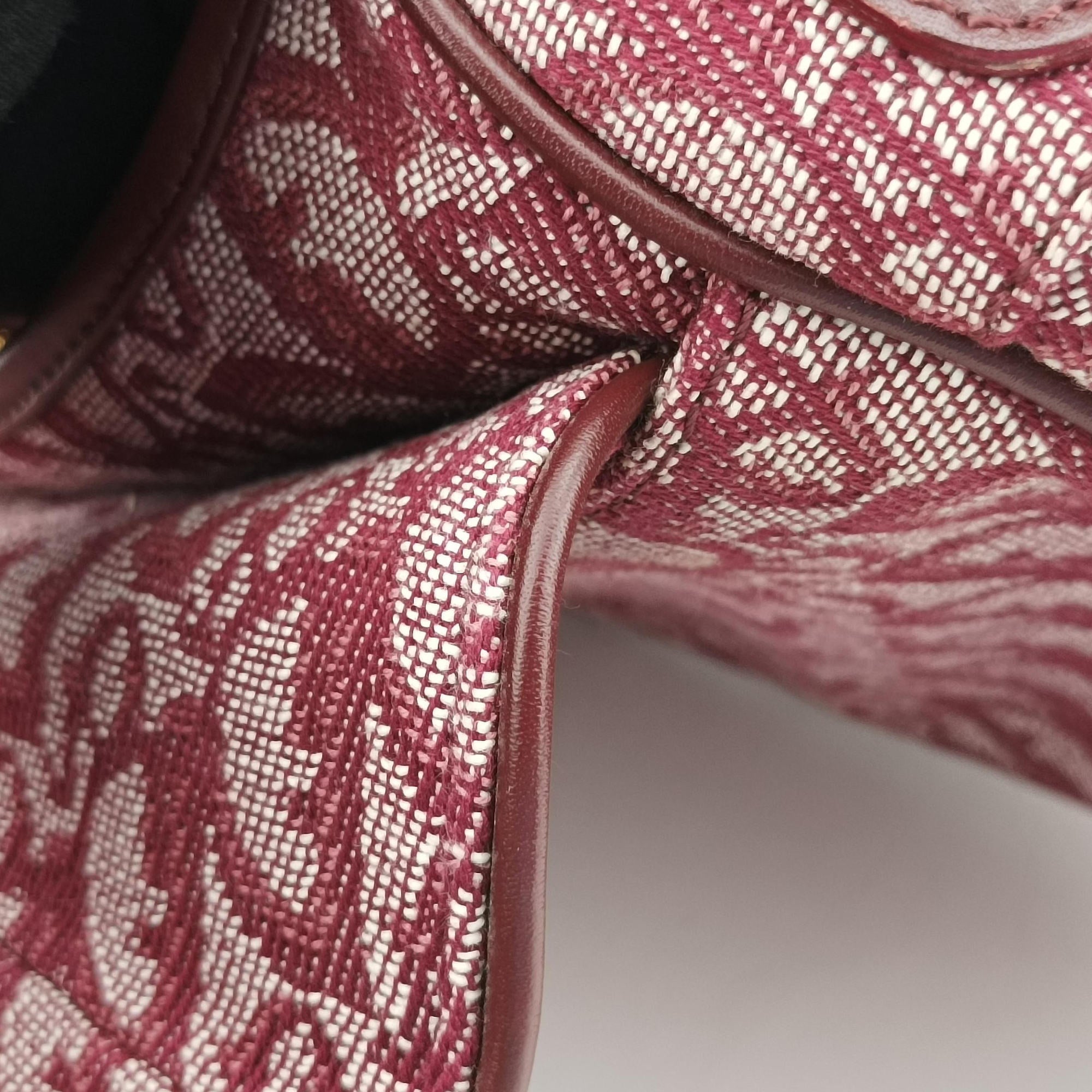 Pre-owned Christian Dior Saddle Red jacquard  handbag | stylenewstar