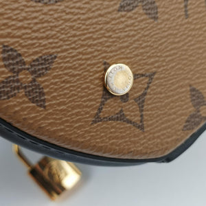 Pre-owned Louis Vuitton Cannes Brown × Black Monogram Reverse Giant M43986 shoulderbag | stylenewstar
