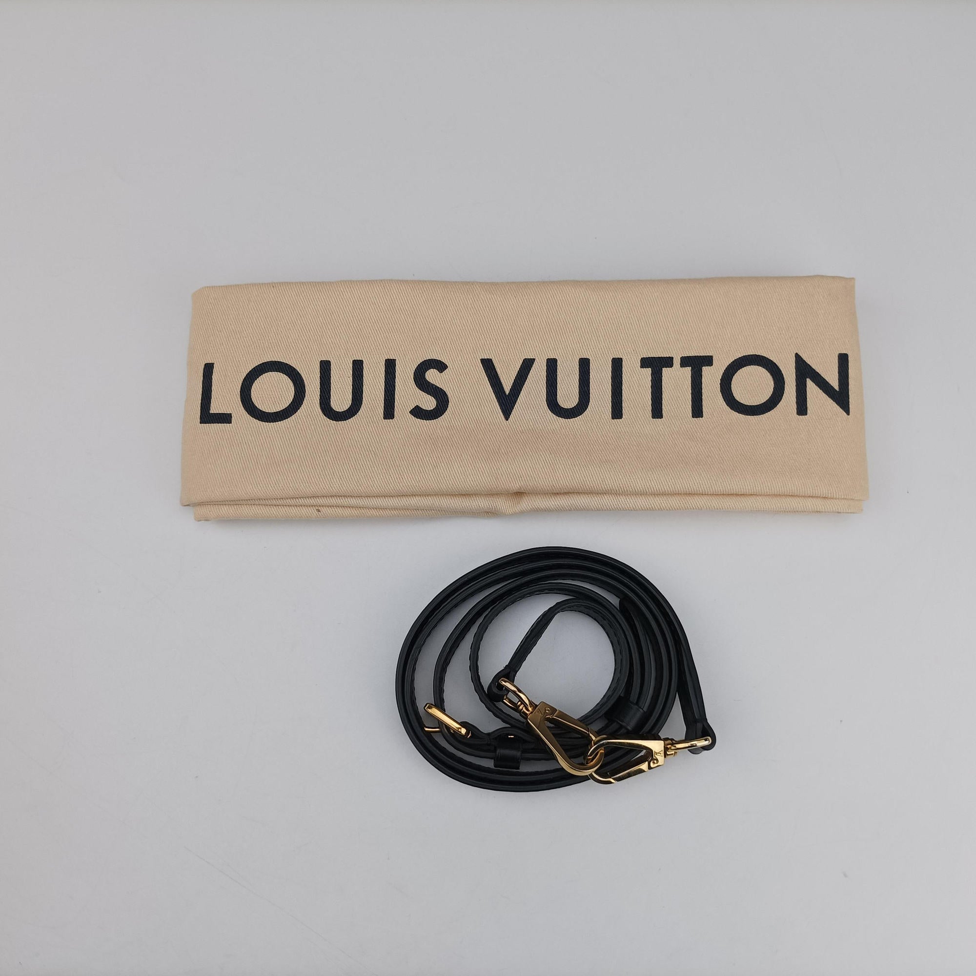 Pre-owned Louis Vuitton Cannes Brown × Black Monogram Reverse Giant M43986 shoulderbag | stylenewstar