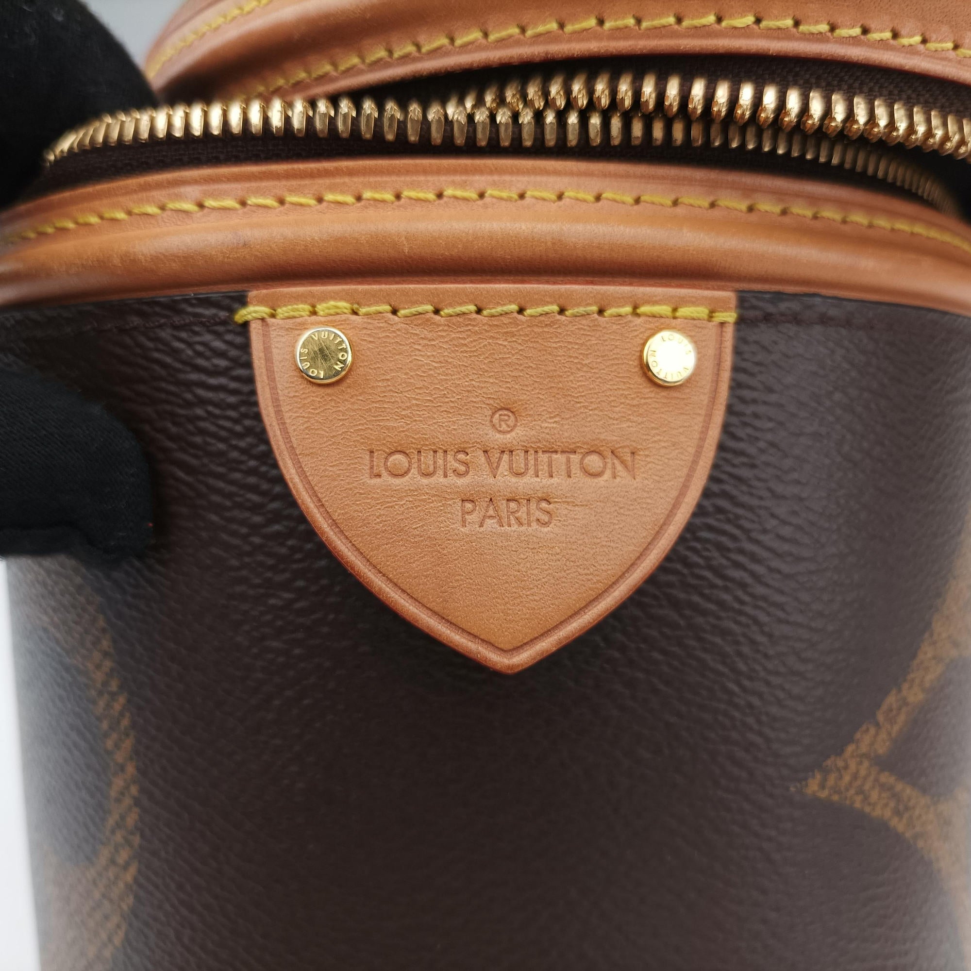 Pre-owned Louis Vuitton Cannes Brown Monogram Reverse Giant M44603 shoulderbag | stylenewstar