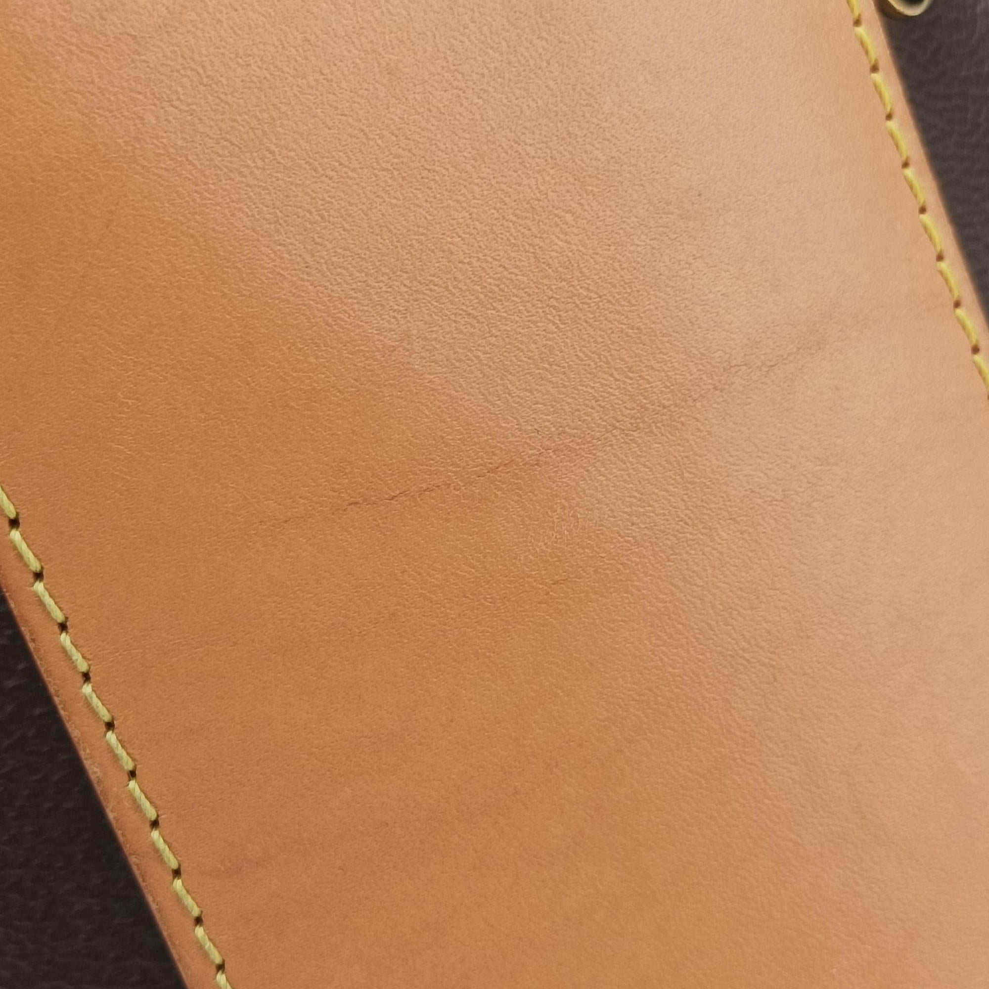 Pre-owned Louis Vuitton Cannes Brown Monogram Reverse Giant M44603 shoulderbag | stylenewstar