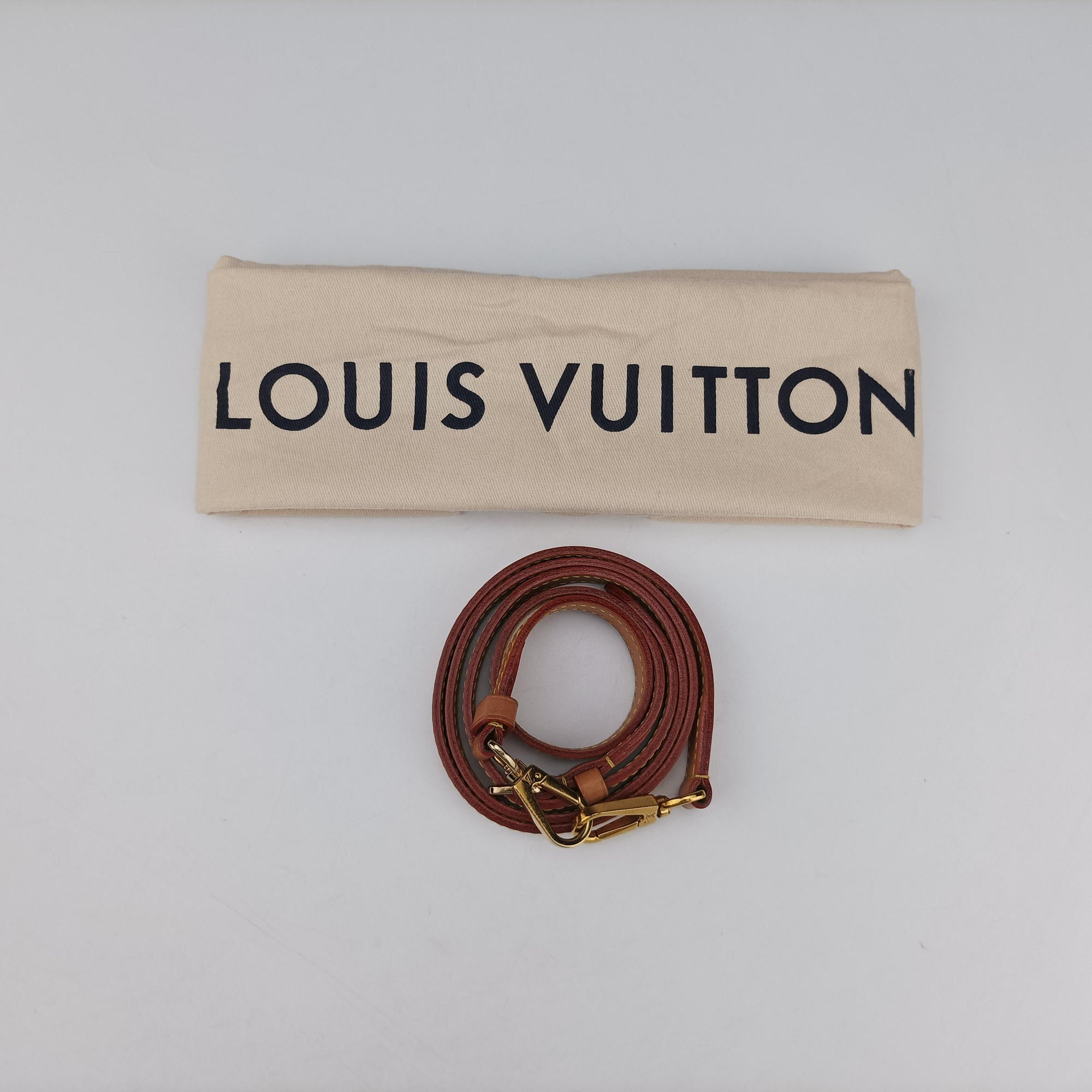 Pre-owned Louis Vuitton Cannes Brown Monogram Reverse Giant M44603 shoulderbag | stylenewstar