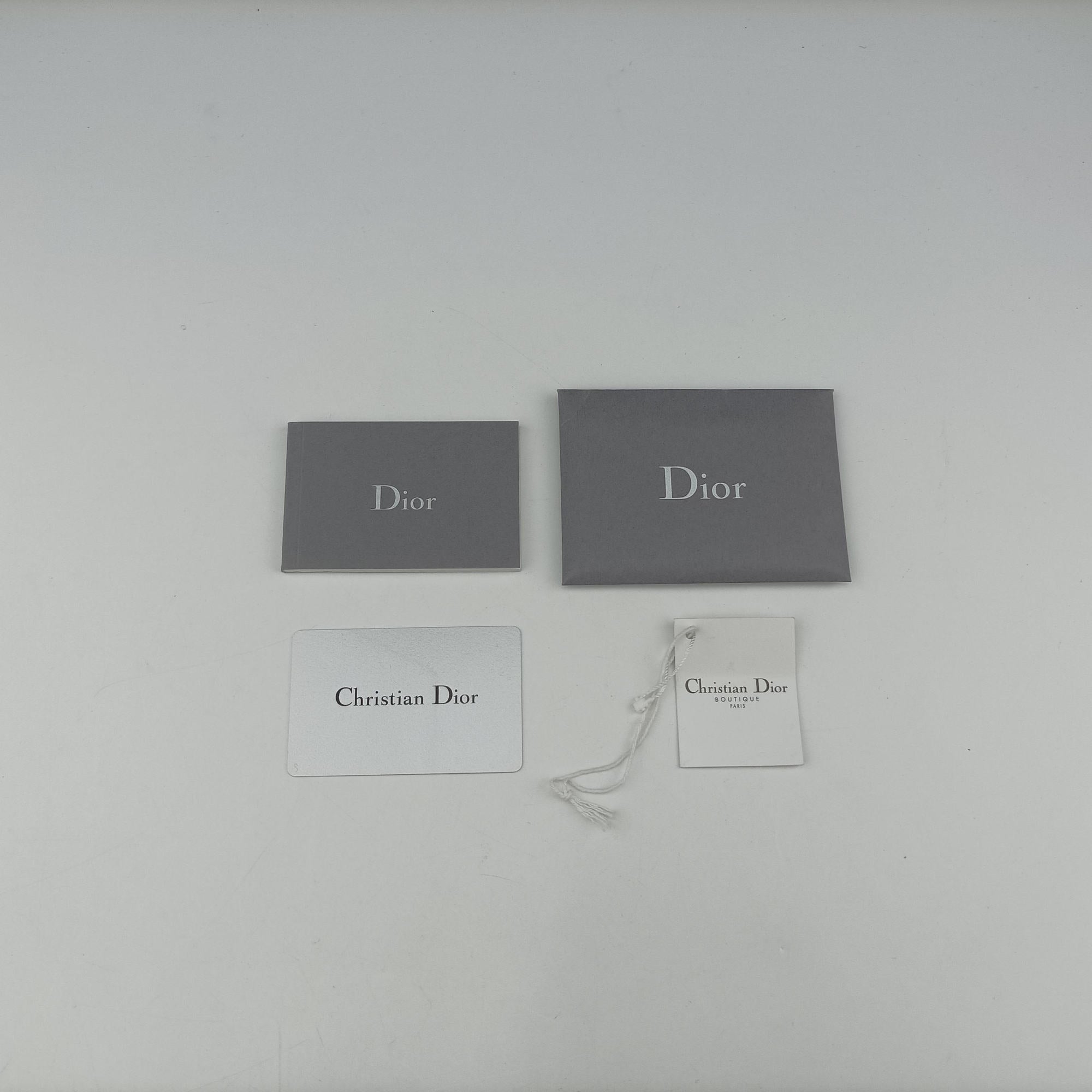 Pre-owned Christian Dior Dior double Medium Silver Leather  shoulderbag | stylenewstar