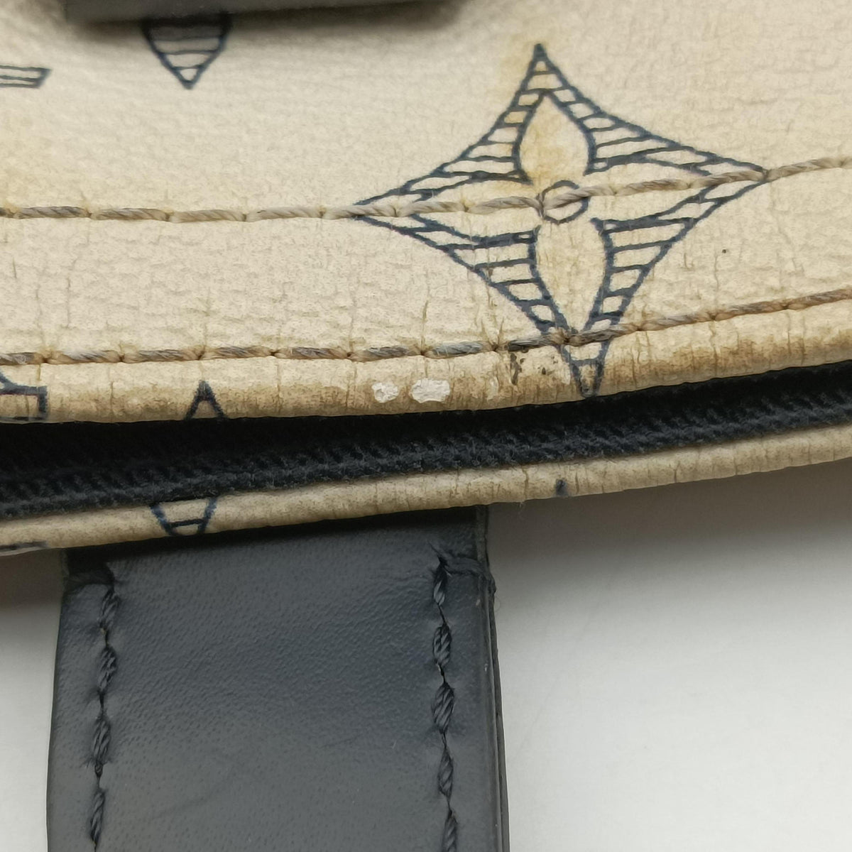 Secondhand Louis Vuitton Savane Tote DUNE Monogram Chapman N41416 shoulderbag | stylenewstar