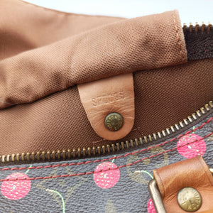 Vintage Louis Vuitton Speedy 25 Monogram Cherry Monogram Canvas M95009 handbag | stylenewstar