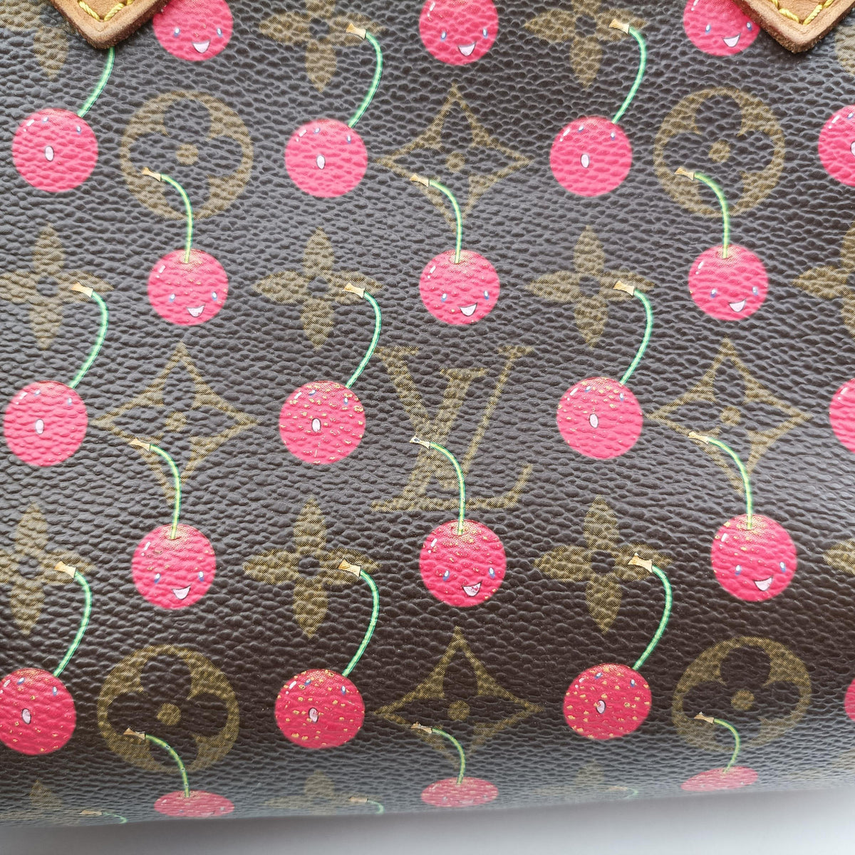 Vintage Louis Vuitton Speedy 25 Monogram Cherry Monogram Canvas M95009 handbag | stylenewstar