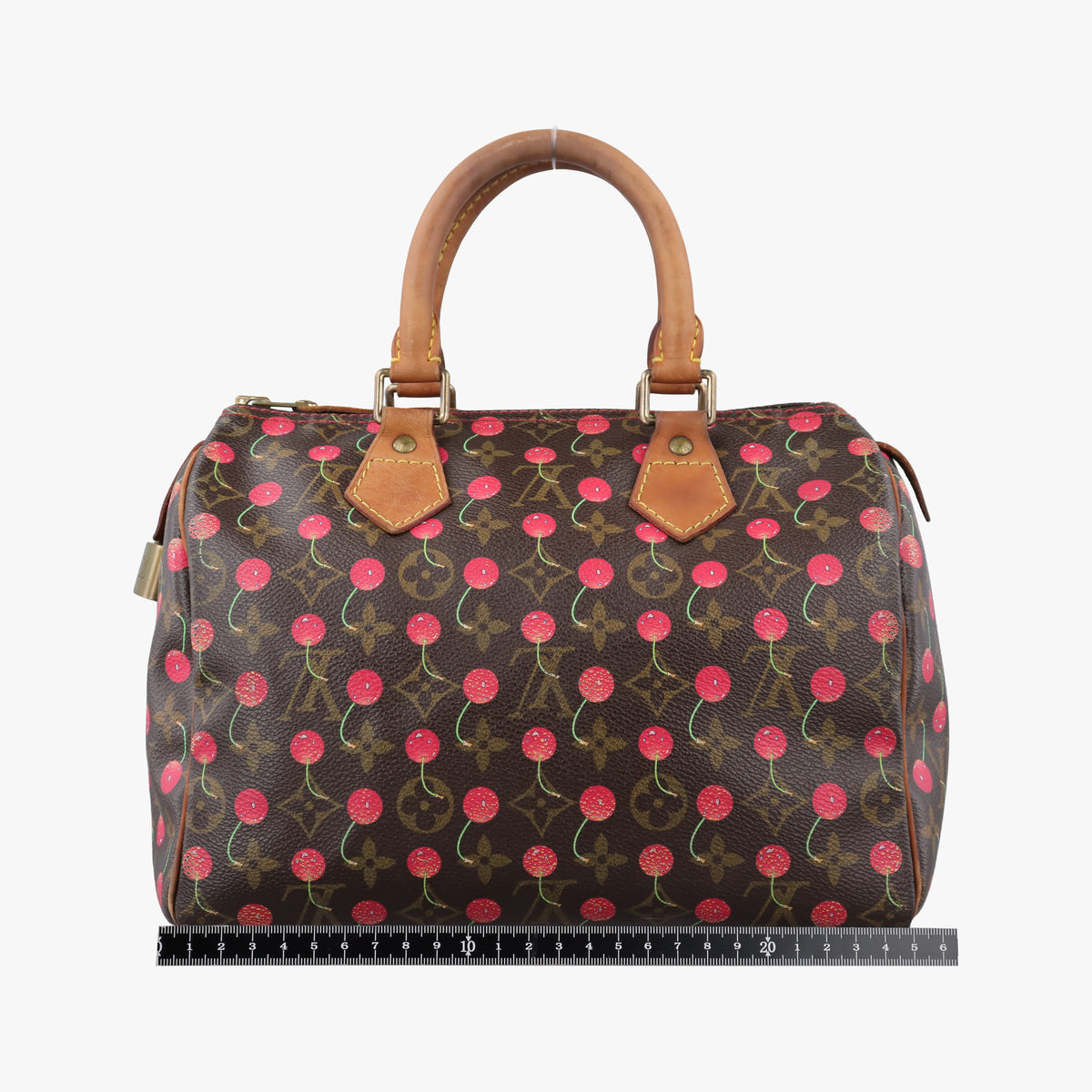 Vintage Louis Vuitton Speedy 25 Monogram Cherry Monogram Canvas M95009 handbag | stylenewstar