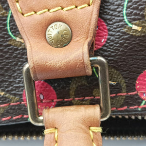Vintage Louis Vuitton Speedy 25 Monogram Cherry Monogram Canvas M95009 handbag | stylenewstar