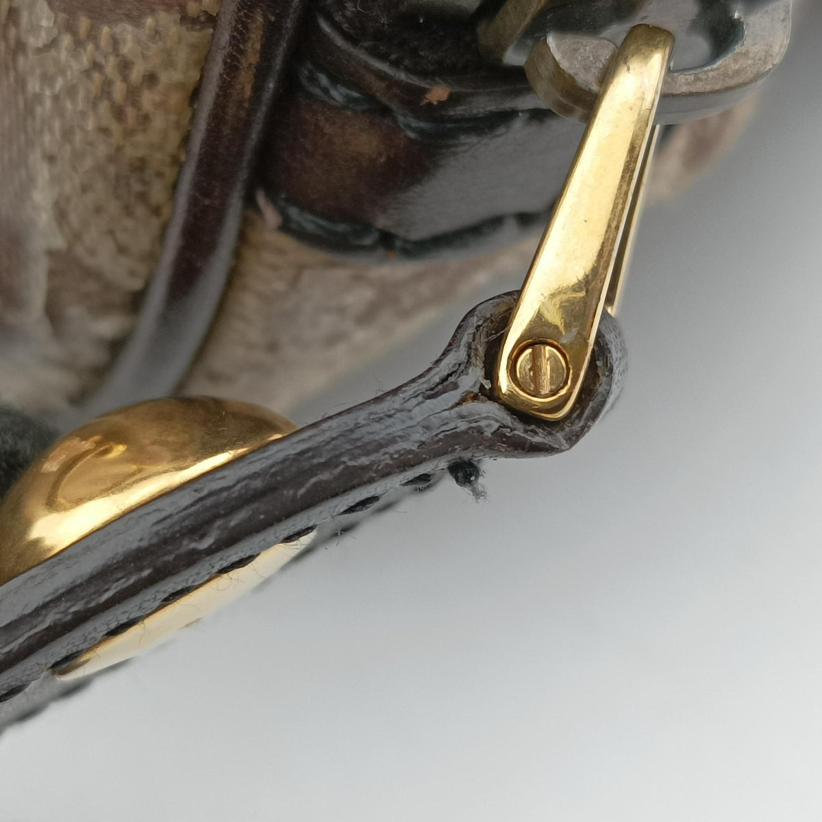 Pre-owned Gucci Babushka Multicolour PVC coated canvas×Leather 207775 handbag | stylenewstar