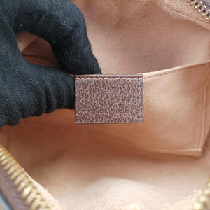 Pre-owned Gucci OPHIDIA Brown×red×green PVC coated canvas 517350 shoulderbag | stylenewstar