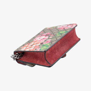 Secondhand Gucci Dionysus beige×red×multicolor PVC coated canvas × suede 421970 shoulderbag | stylenewstar